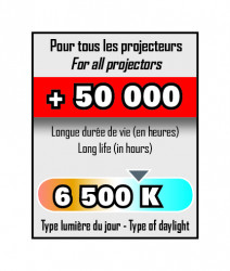 Projecteur à LED 30W Portable 2160 lumens