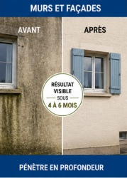 Antimousse Concentré Professionnel - BATI DM 100 C