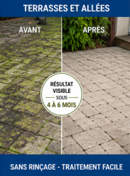 Antimousse Concentré Professionnel - BATI DM 100 C