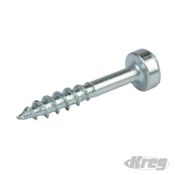 Vis en zinc à tête cylindrique, à pas grossier pour trous dissimulés 1000 vis n° 7 x 1